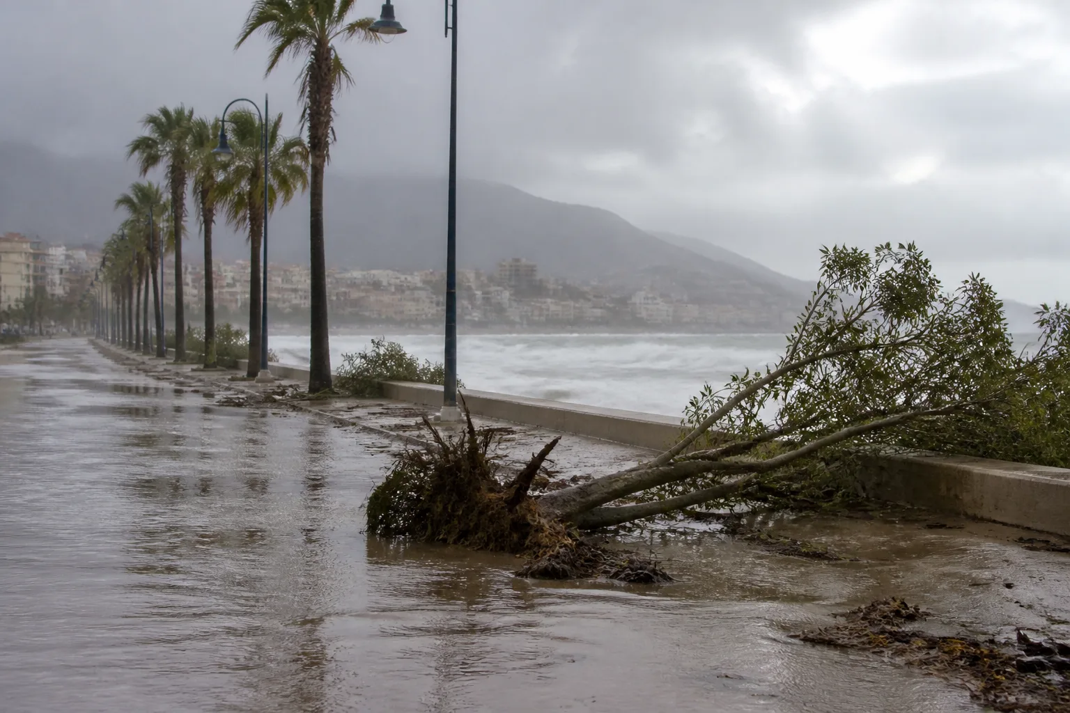 Andalusia’s 112 service handles 89 storm-related incidents overnight, 73 in Málaga