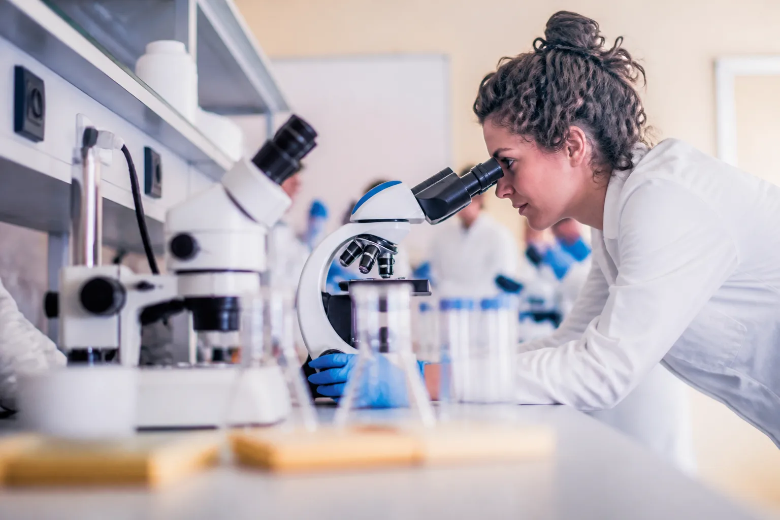 Andalusia receives 23 applications for the Isabel Ovín Camps Research Awards